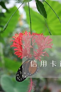 信用卡逾期多久才给家人打电话