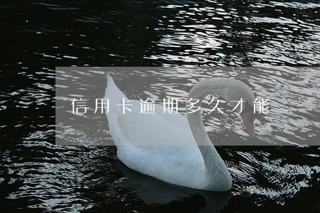 信用卡逾期多久才能 信用卡逾期多久才能
