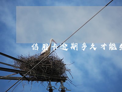 信用卡逾期多久才能先还本金 信用卡逾期多久才能先还本金