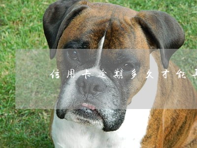 信用卡逾期多久才能再办信用卡 信用卡逾期多久才能再办信用卡