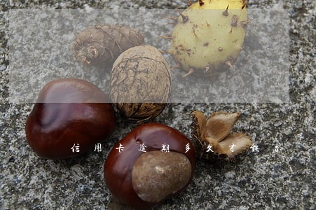 信用卡逾期多久才能办 信用卡逾期多久才能办