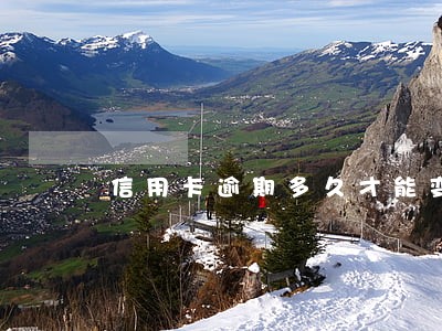 信用卡逾期多久才能变成呆账 信用卡逾期多久才能变成呆账
