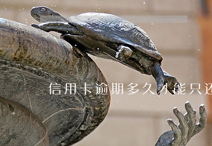 信用卡逾期多久才能只还本金 信用卡逾期多久才能只还本金