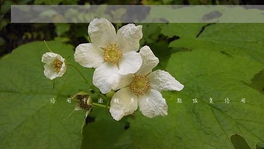 信用卡逾期多久才能恢复信用 信用卡逾期多久才能恢复信用
