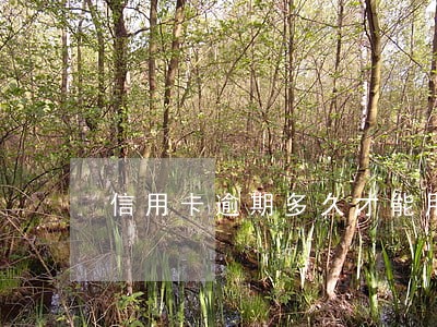 信用卡逾期多久才能用 信用卡逾期多久才能用