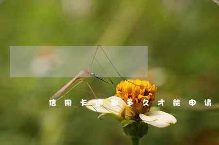 信用卡逾期多久才能申请微粒贷