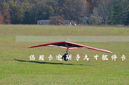 信用卡逾期多久才被停卡 信用卡逾期多久才被停卡