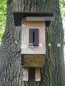 信用卡逾期多久打亲人电话 信用卡逾期多久打亲人电话