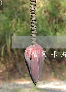 信用卡逾期多久打电话给父母 信用卡逾期多久打电话给父母