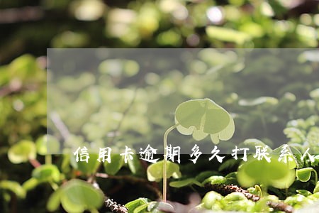 信用卡逾期多久打联系人 信用卡逾期多久打联系人
