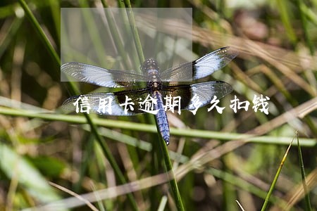 信用卡逾期多久扣钱