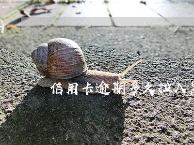 信用卡逾期多久拉入黑名单 信用卡逾期多久拉入黑名单