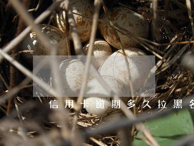 信用卡逾期多久拉黑名单 信用卡逾期多久拉黑名单