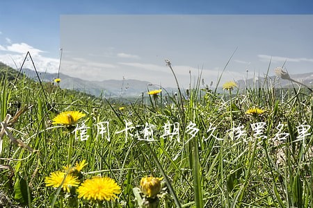 信用卡逾期多久挨黑名单 信用卡逾期多久挨黑名单