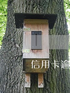 信用卡逾期多久收手续费 信用卡逾期多久收手续费
