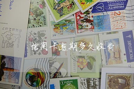 信用卡逾期多久收费 信用卡逾期多久收费