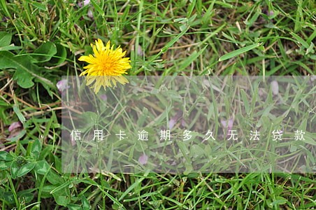 信用卡逾期多久无法贷款 信用卡逾期多久无法贷款