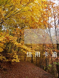 信用卡逾期多久是呆账