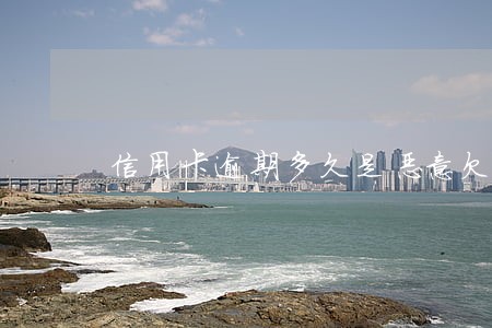信用卡逾期多久是恶意欠款 信用卡逾期多久是恶意欠款