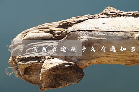 信用卡逾期多久有通知书 信用卡逾期多久有通知书