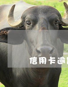 信用卡逾期多久未还 信用卡逾期多久未还