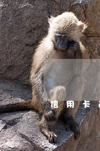 信用卡逾期多久核销账户