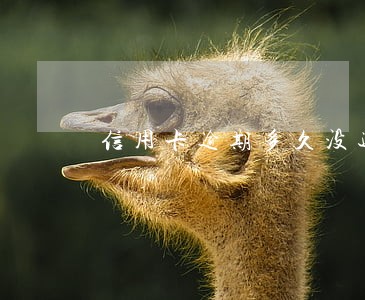 信用卡逾期多久没还会怎样 信用卡逾期多久没还会怎样