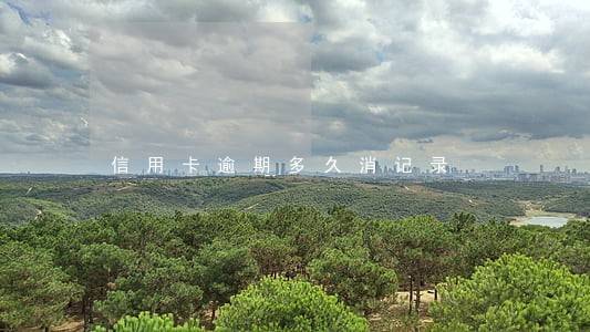 信用卡逾期多久消记录
