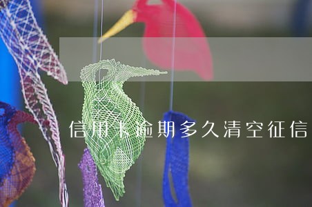 信用卡逾期多久清空征信