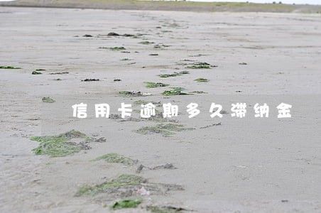 信用卡逾期多久滞纳金 信用卡逾期多久滞纳金