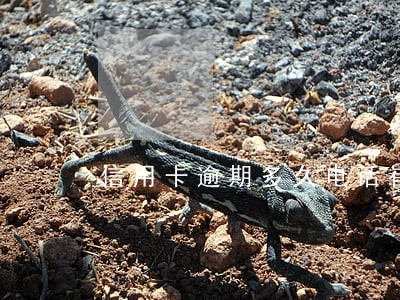 信用卡逾期多久电话崔款 信用卡逾期多久电话崔款