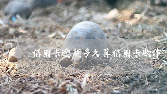 信用卡逾期多久算信用卡欺诈