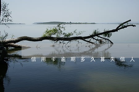 信用卡逾期多久算失信人 信用卡逾期多久算失信人