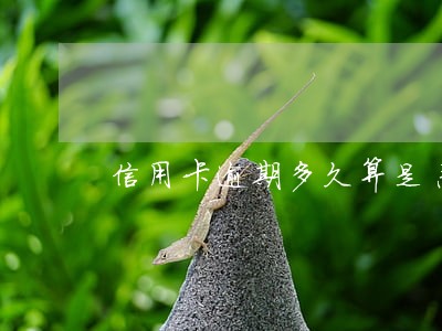 信用卡逾期多久算是恶意透支 信用卡逾期多久算是恶意透支