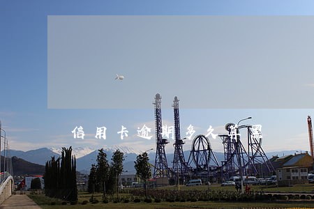 信用卡逾期多久算黑戶 信用卡逾期多久算黑戶