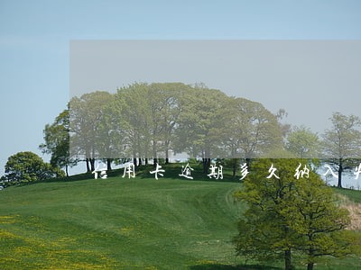 信用卡逾期多久纳入失信人 信用卡逾期多久纳入失信人