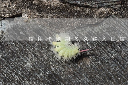 信用卡逾期多久纳入征信 信用卡逾期多久纳入征信