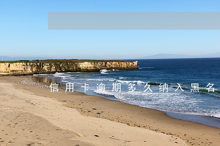 信用卡逾期多久纳入黑名单 信用卡逾期多久纳入黑名单