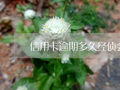 信用卡逾期多久经侦会上门