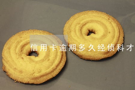 信用卡逾期多久经侦科才能调查