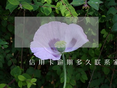 信用卡逾期多久联系家人 信用卡逾期多久联系家人