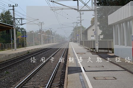 信用卡逾期多久能上征信 信用卡逾期多久能上征信