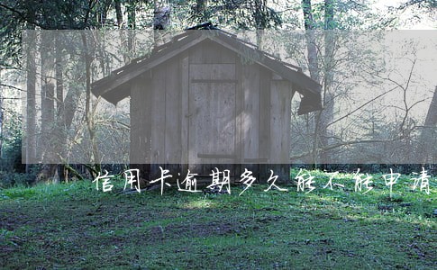 信用卡逾期多久能不能申请提额