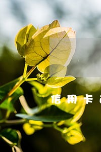 信用卡逾期多久能公积金贷款 信用卡逾期多久能公积金贷款