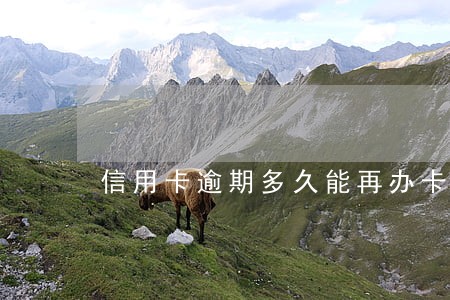 信用卡逾期多久能再办卡 信用卡逾期多久能再办卡