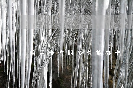 信用卡逾期多久能办卡 信用卡逾期多久能办卡