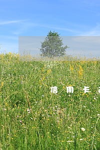 信用卡逾期多久能办理临时额度 信用卡逾期多久能办理临时额度