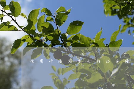 信用卡逾期多久能协商慢慢还 信用卡逾期多久能协商慢慢还