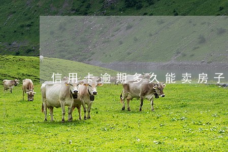 信用卡逾期多久能卖房子