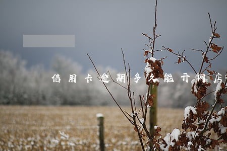 信用卡逾期多久能开网店 信用卡逾期多久能开网店